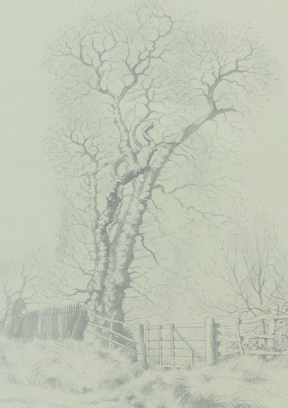 Lucy Kemp-Welch (1869-1958)
monochrome watercolour, tree beside a gate, signed, 14" x 10", framed.