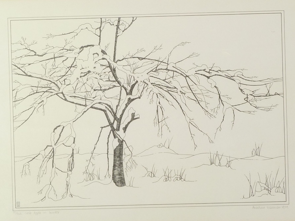 ALISDAIR WISEMAN ETCHING Crab apple in winter, signed, inscribed and dated 1979 and numbered 51/