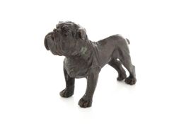 A Modern bronze figure of a bull dog, realistically cast with wrinkles to the eyes, length 7.5cm