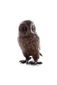 A cold painted bronze model of an owl, probably Austrian, late 19th century, possibly by Bergmann,