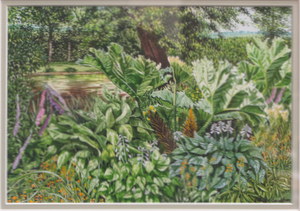 LOUISE SOUTHAN, FRAMED WATERCOLOUR- HOSTAS & GUNNERA, SIGNED TO BOTTOM, APPROXIMATELY 16.5cm x 23.