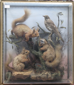 TAXIDERMIC SPECIMEN DEPICTING THREE SQUIRRELS AND A BIRD WITHIN PERSPEX DISPLAY CASE