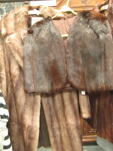 MUSQUASH THREE QUARTER LENGTH COAT FROM DOMINION FUR COMPANY EDINBURGH PLUS 1940`S STYLE CONEY FUR