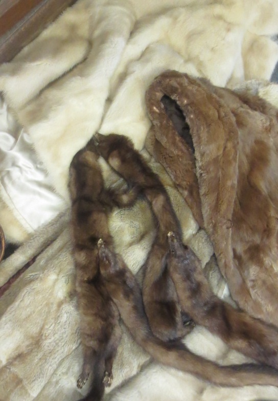Various fur coats and furs Various fur coats and furs