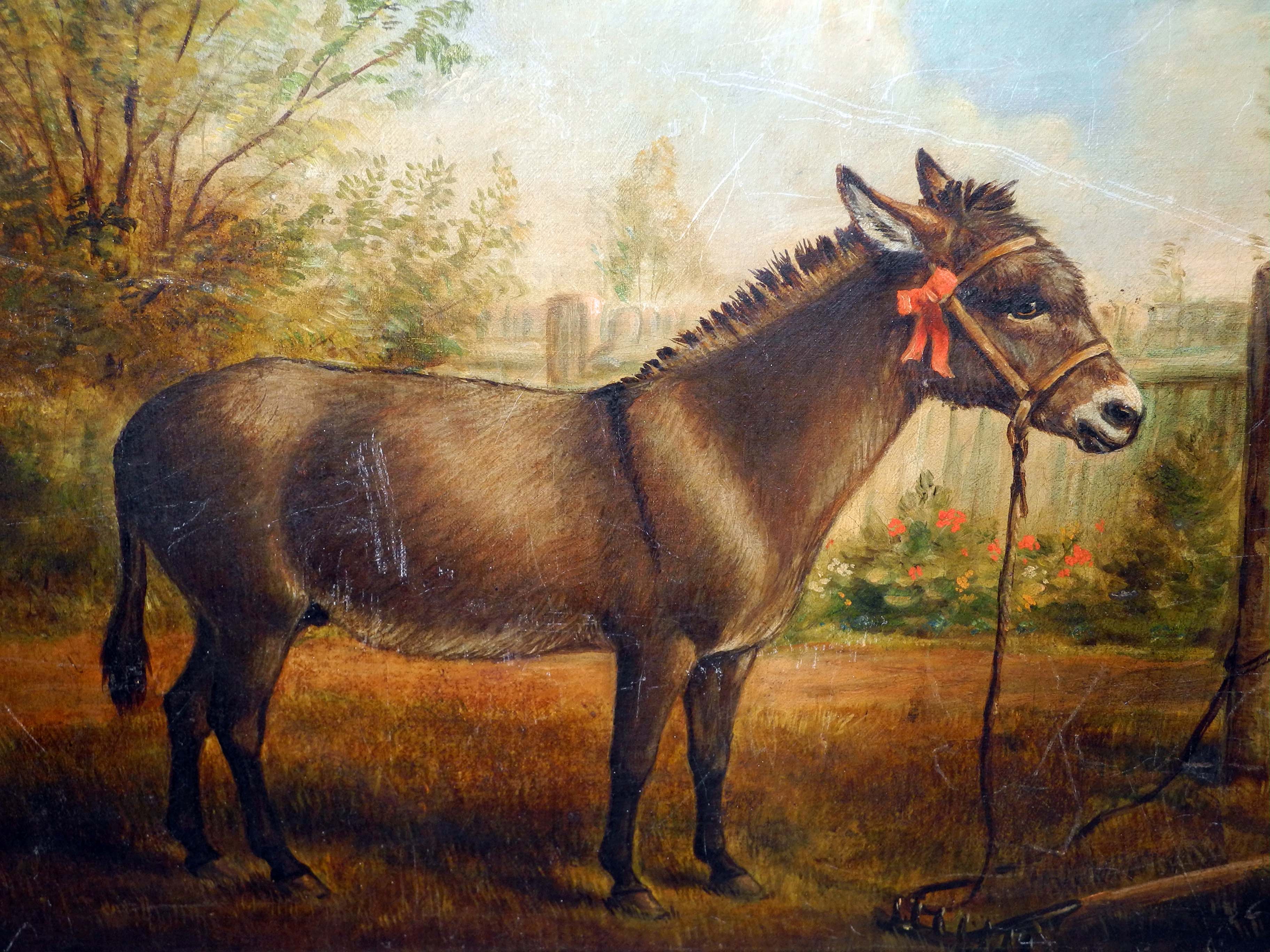 A late 19th/early 20th century oil on canvas of a tethered donkey in garden setting, maple framed