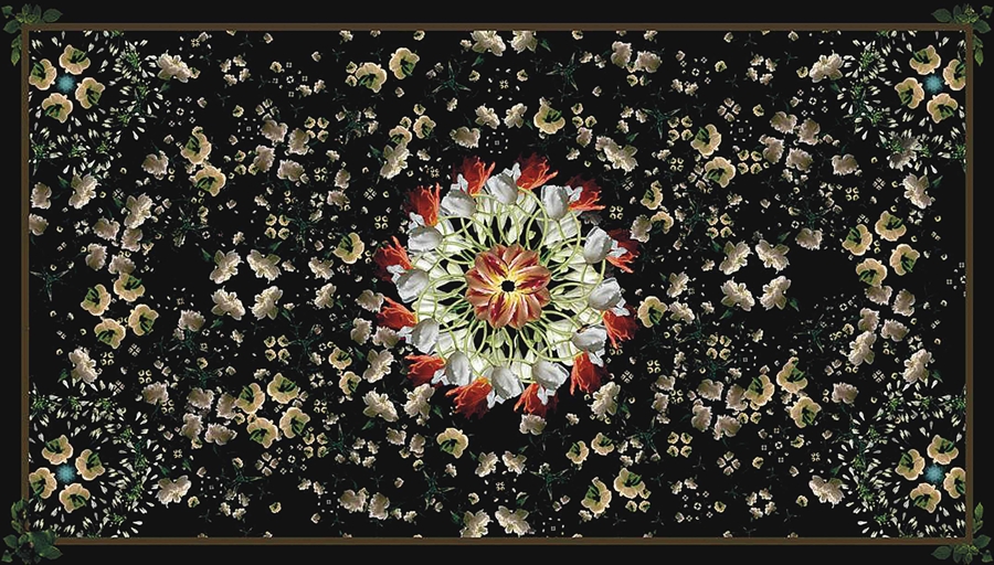 LISA CREAGH (b. 1973) 
Floriculture, 2009  
lightjet print, flush-mounted to aluminium, printed 2012