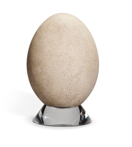 ELEPHANT BIRD EGG 
MADAGASCAR, PRE-17TH CENTURY 
A complete egg of Aepyornis maximus, with maximum