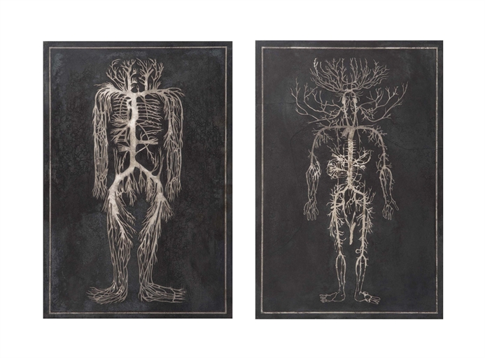 A PAIR OF GERMAN SCAGLIOLA DIDACTIC PANELS 
MID-19TH CENTURY, BY FRANZ JOSEF STEGER & CARL ERNST