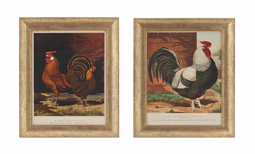 FIFTEEN CHROMOLITHOGRAPHS FROM CASSELL'S POULTRY BOOK 
LATE 19TH EARLY 20TH CENTURY, AFTER LEWIS