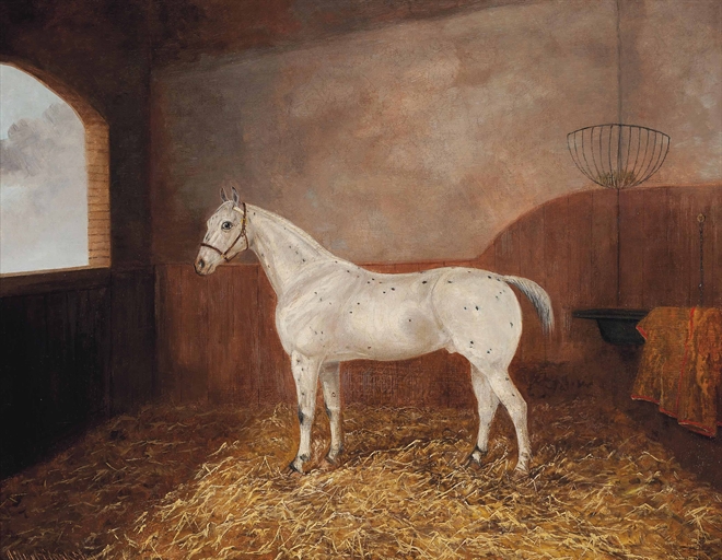 Albert Clark Snr., and Jnr., circa 1896 
A dappled grey hunter in a stable 
signed and dated 'Albert