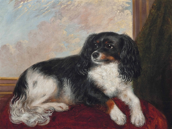 English School, 19th Century 
A King Charles Spaniel seated on red cushion 
oil on canvas 
16 x 21