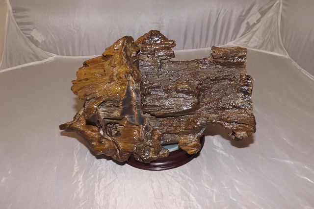 A PIECE OF PETRIFIED WOOD, ARCHAEOLOGICAL FIND