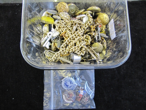 A carton containing a quantity of Military and other badges.