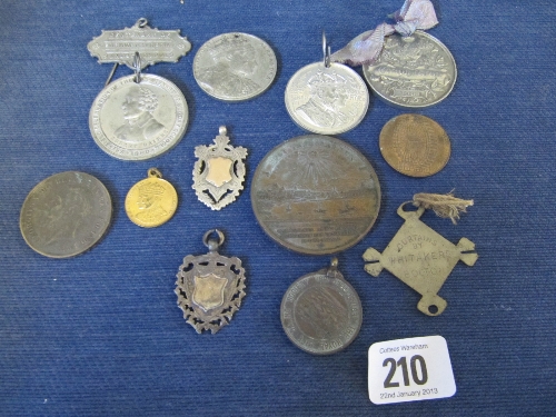 A collection of various 19th century and other commemorative badges (twelve).