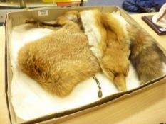 Fox fur stole