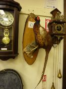 Taxidermy pheasant on branch, mounted on section of wood, 62cm high