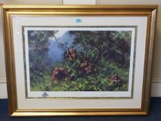 'Men of the Woods - Orang-Utans', David Shepherd limited edition chromolithograph signed and