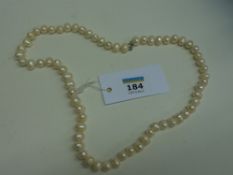 White pearl necklace