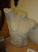 Model mans torso