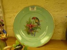 Cabinet plate painted with a Parrot