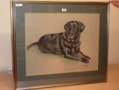 'Black Labrador', mixed media portrait signed by Susan Maud