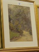 Woodland Scene, early 20th Century watercolour by Edith Martin Eau