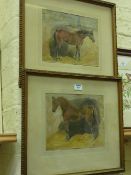 Horse portraits, pair hand coloured engravings after J Charlton