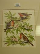 Robins, watercolour signed by T. H. Boddy