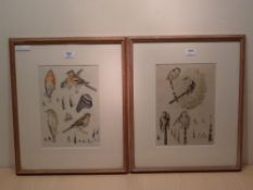 Mildred E Eldridge (1909-1991): 'Chaffinch' & 'Long Tailed Tit', pair watercolour studies signed