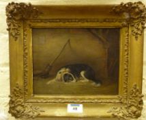 Study of a Sheepdog in Stable Setting 19th century oil on board