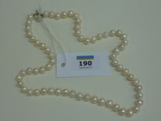 24" freshwater pearl necklace