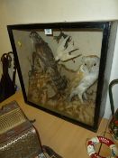 Taxidermy Victorian group of birds in glazed cabinet