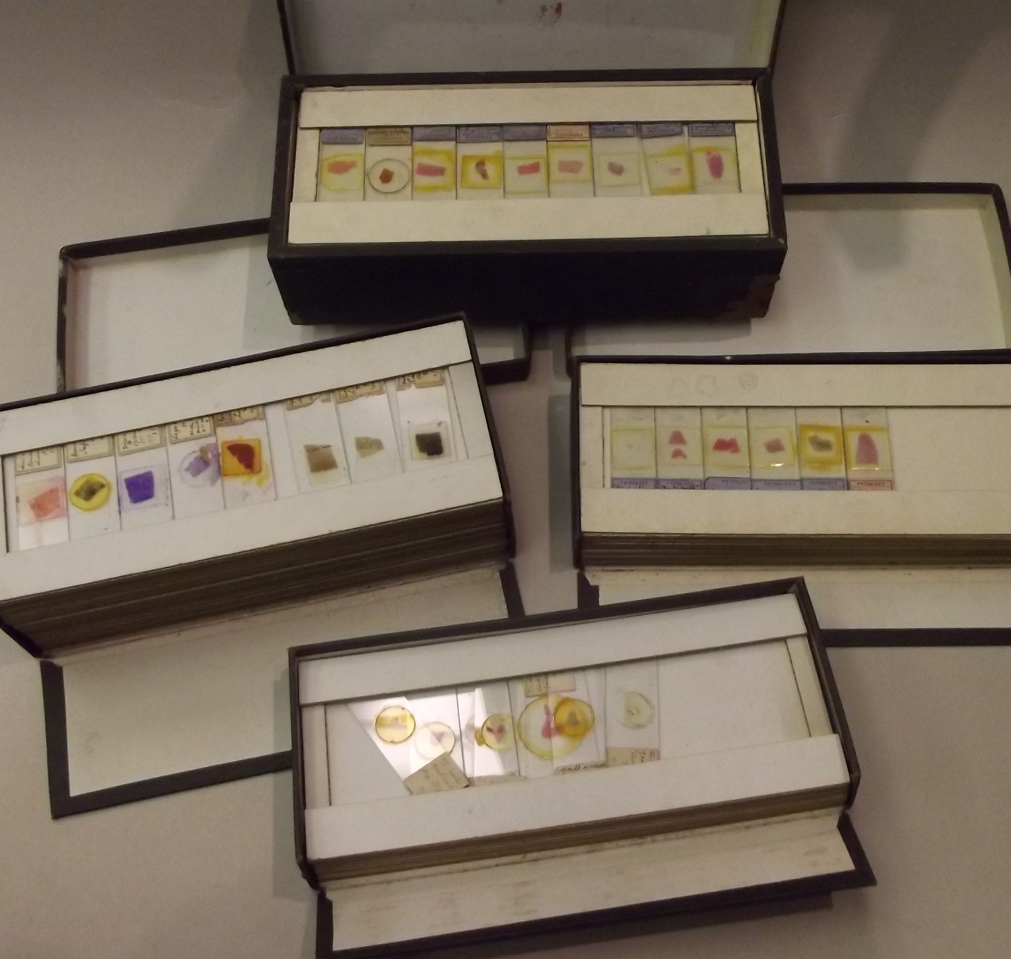 A large collection of glass microscope slides in four boxes.