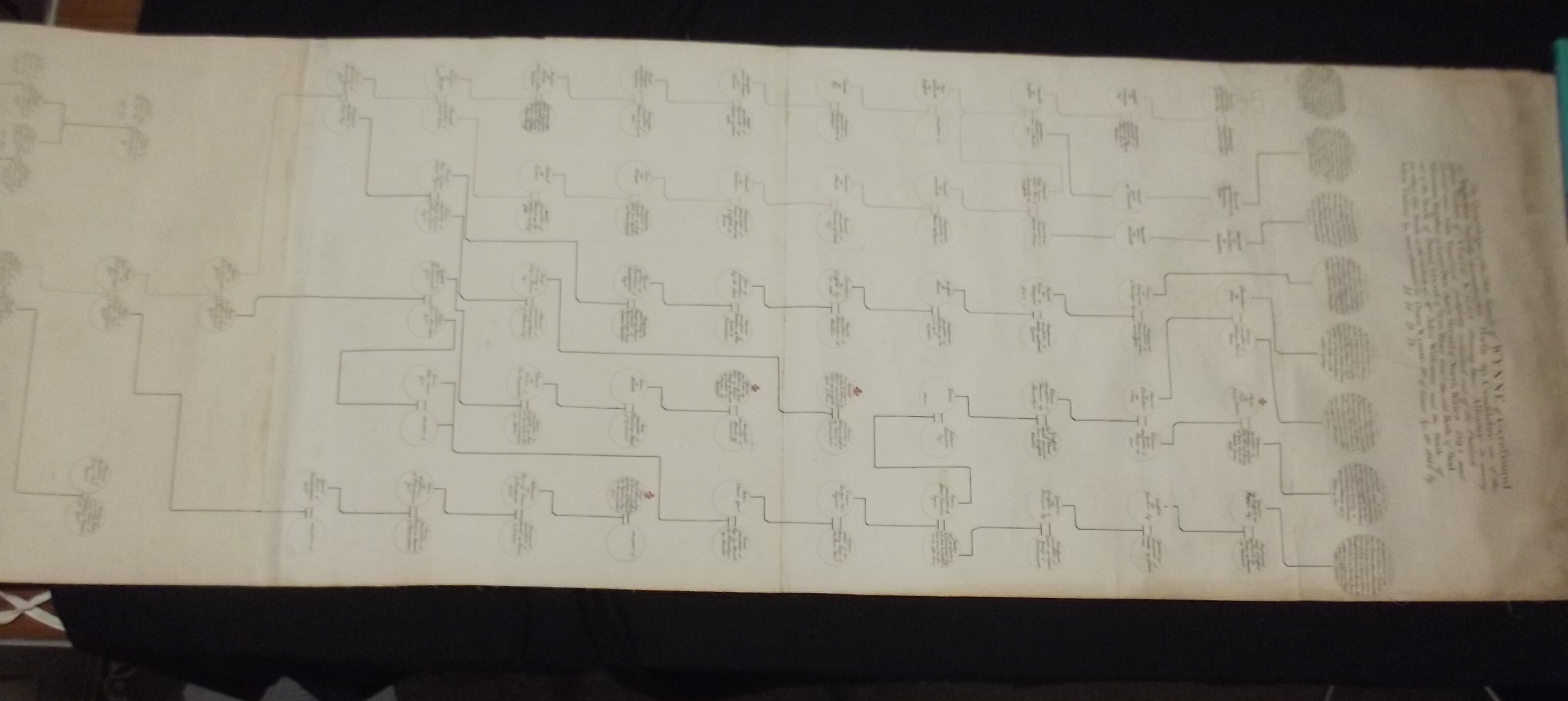 PEDIGREE. "The Genealogie of the Hon. Family of Wynne of Gwynfynnyd on Anlesea.", pen and ink, paper