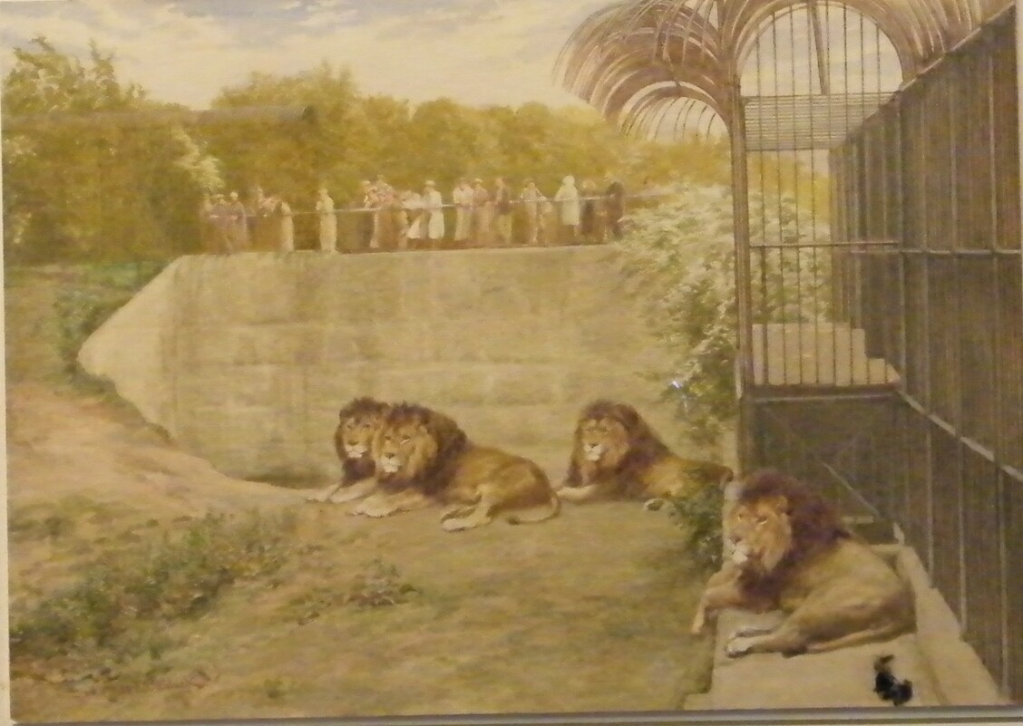 CHARLES EDWIN M. BALDOCK
The lion enclosure.
Watercolour.
Signed.
22 x 30.5cm.