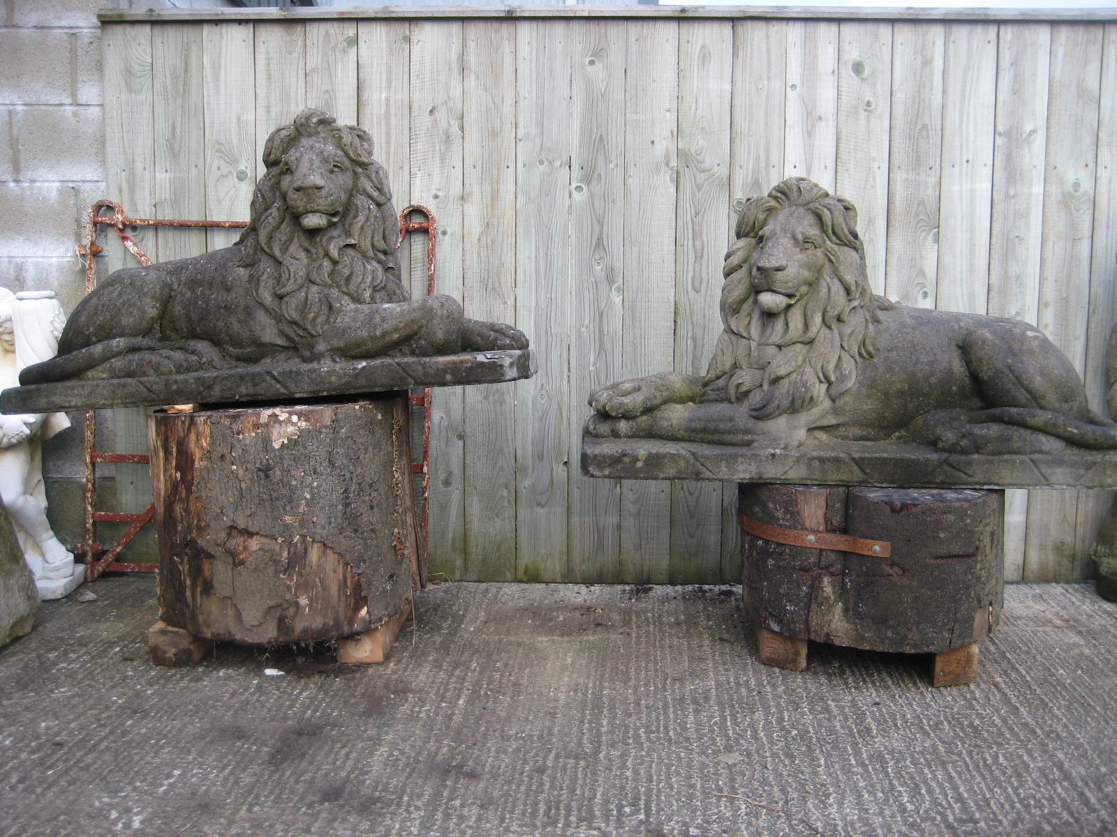 A large pair of garden stone recumbent lions, each 125 cms long