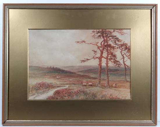 Paul Betra Early XX New Forest Watercolour Hampshire sheep on the New Forest Moor Signed lower right