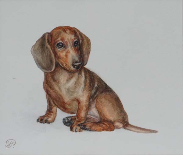 Natalie Rubacheva (1986) IFA Russian Watercolour Dachshund Signed lower left 6 3/4 x 8"