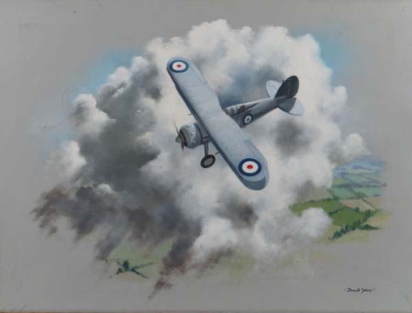 Donald Selway XX Oil on canvas Royal Air Force Bi-plane Signed lower right 18 x 23 3/4"