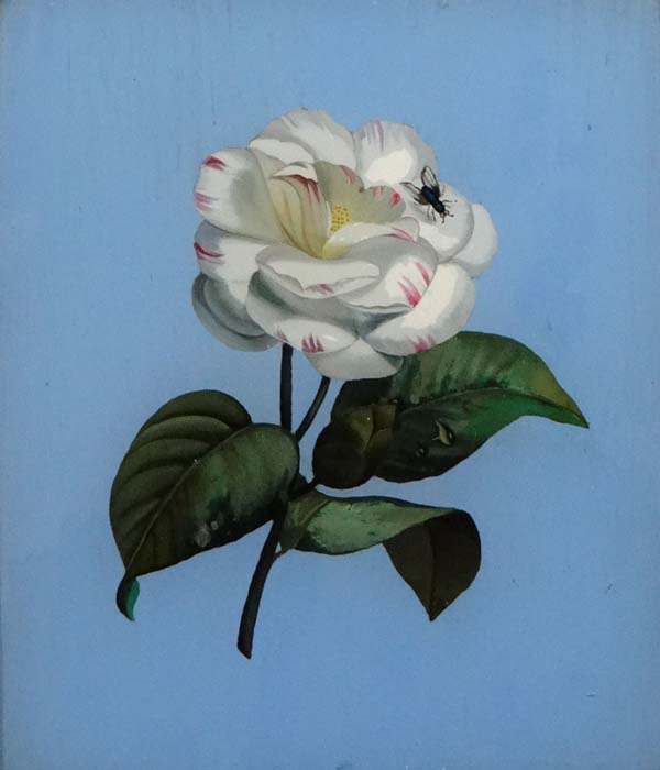 Late VXIII / Early XIX Continental / Flemish School Botanical reverse glass painting Rose and fly