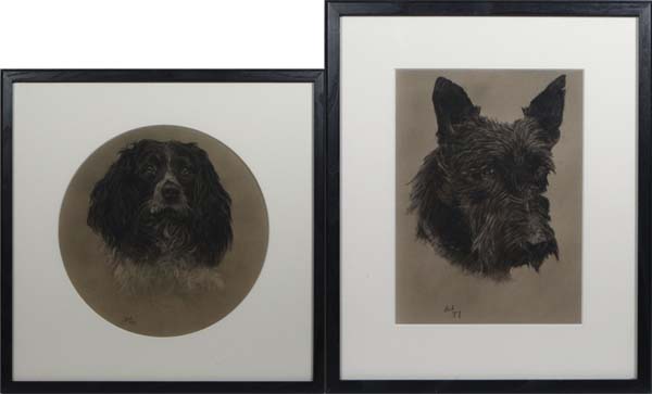 Clark 1929 Crayon / pastel a pair Tondo and a square Dog portrait, head of a Springer Spaniel and