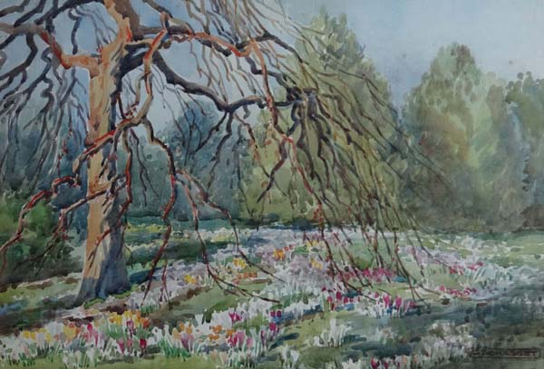 G Thomasset ( early XX ) Watercolour The fist crocuses of Spring Signed lower right 9 x 13 1/4"