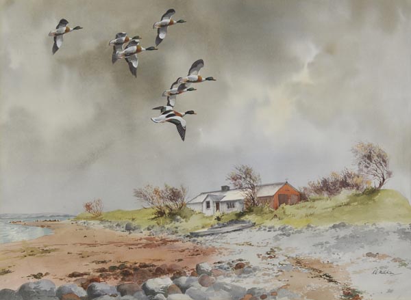 *Milliken (Robert W., 1920-). Shelduck over the Loch, large watercolour, signed by artist to lower