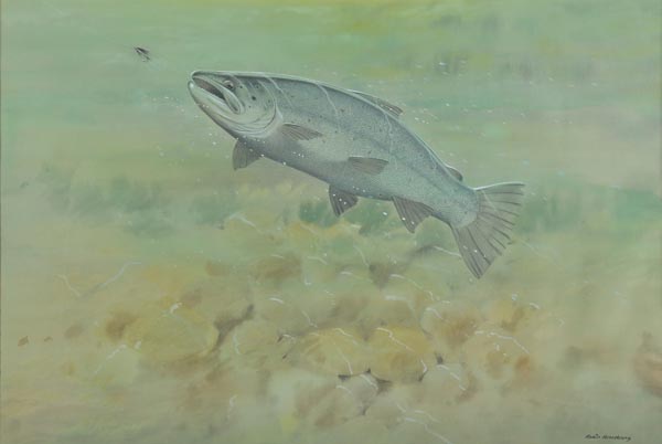 *Armstrong (Robin, 1947-). Early Season: Big Sea Trout falls to a large sunk lure, watercolour,