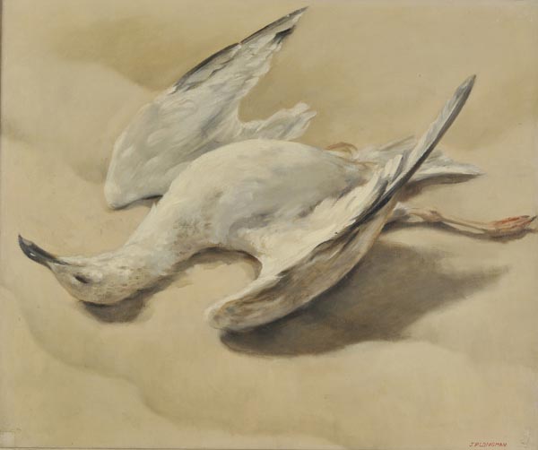 *Pemberton-Longman (Joanna, 20th c.). Dead Gull, oil on canvas, signed by artist lower right, 500