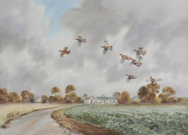 *Milliken (Robert W., 1920-). English Partridge at Holkham, large watercolour, signed by artist to