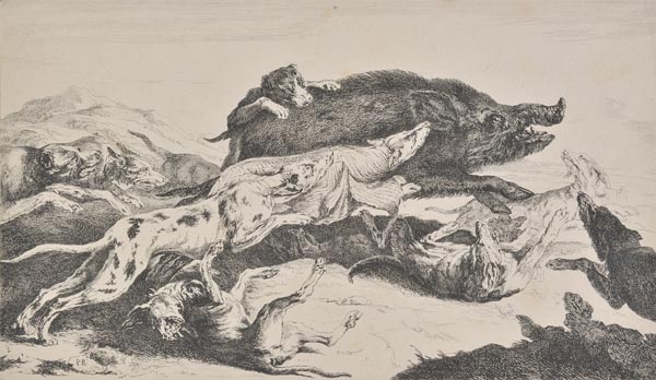 * Boel (Pieter, 1622-1674). Hunting dogs attacking a wild boar, etching on wove paper, initialled in