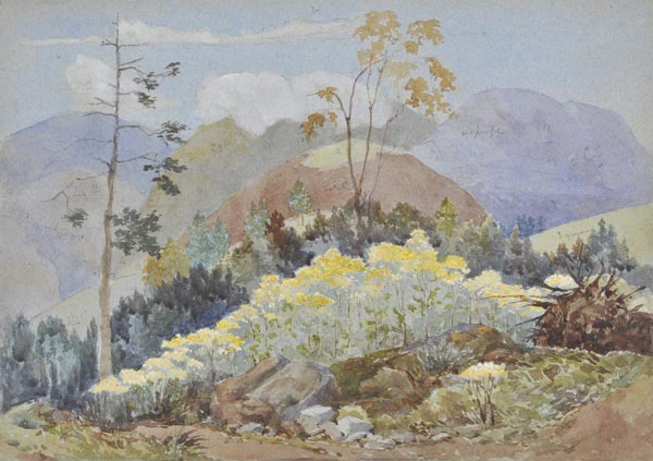 * Henderson (Edmund, 1821-1896). A collection of eight watercolour landscape studies, including