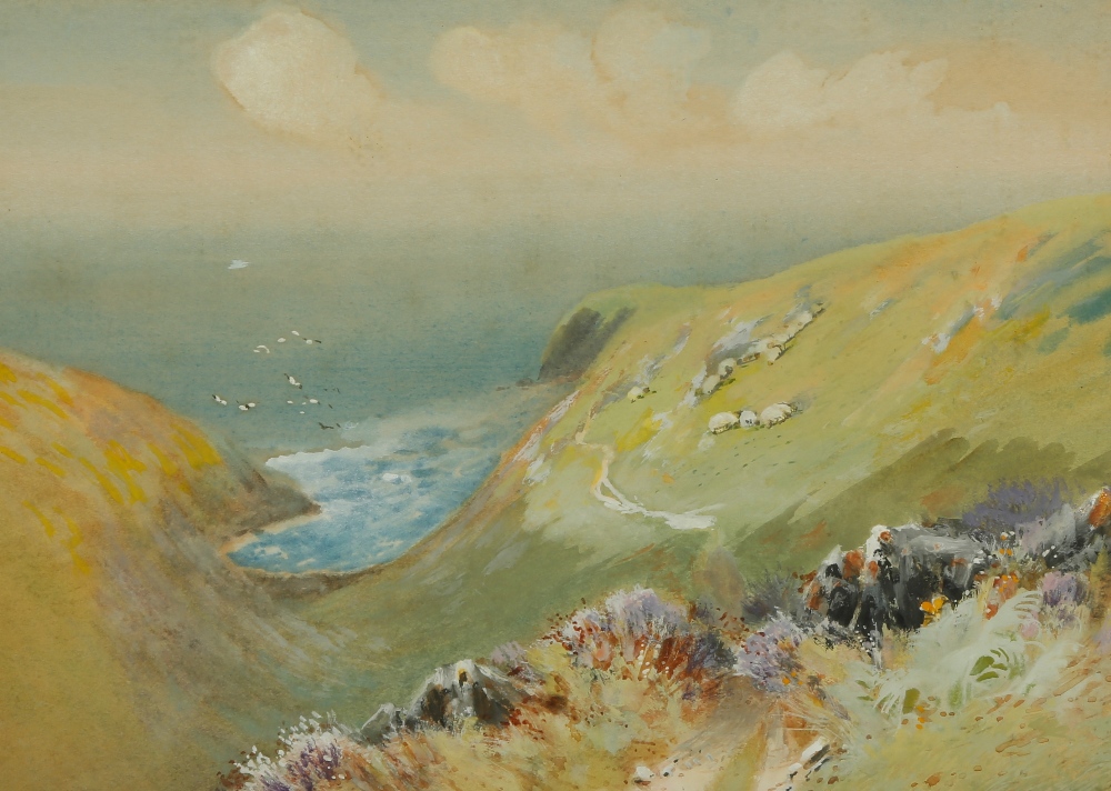 J. MACWHIRTER (1839-1911), A coastal valley with sheep grazing to the distance, watercolour, 9.75" x