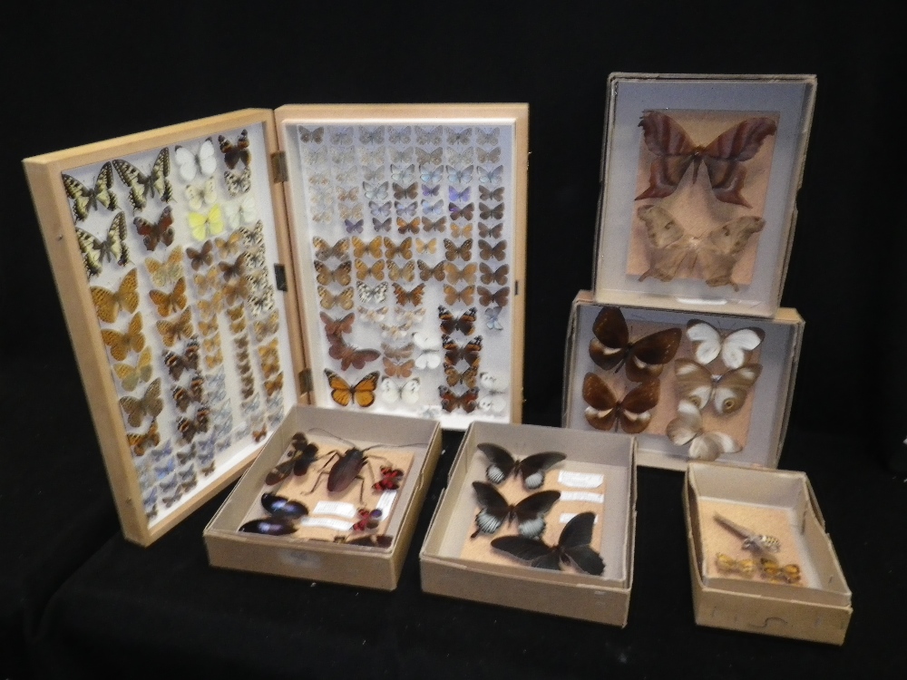 `Lepidoptera: A collection of preserved butterflies and moths to include a boxed collection from